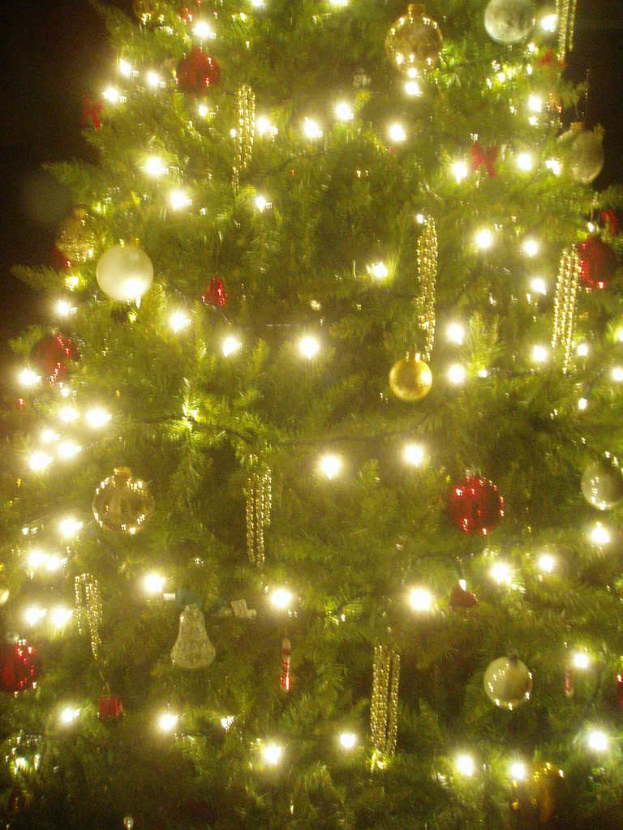 Ein mit Lichtern, Kugeln und anderen Schmuck verzierter Weihnachtsbaum.
