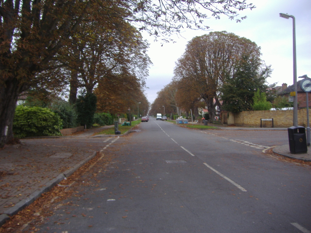 Fahrzeuge auf einer StraÃŸe mit Laternen, MÃ¼lltonnen, BÃ¤umen und HÃ¤usern auf beiden Seiten.