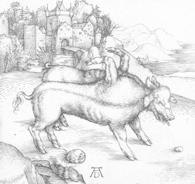 Eine Schwarz-Weiß-Zeichnung von zwei Schweinen in einer Landschaft mit einem Schloss, Bäumen, Hügeln und einem Gewässer im Hintergrund, betitelt "Albrecht Dürer - Die drei Eber".
