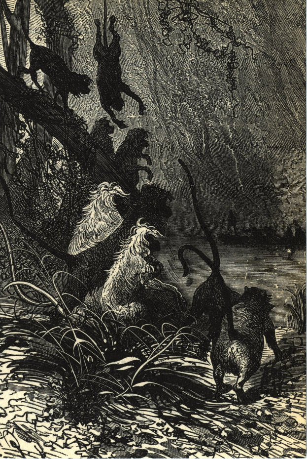 Schwarze und weiße Illustration einer Löwengruppe in einer Dschungellandschaft mit üppiger Vegetation und dem Text 'Der Löwenkönig' unten.