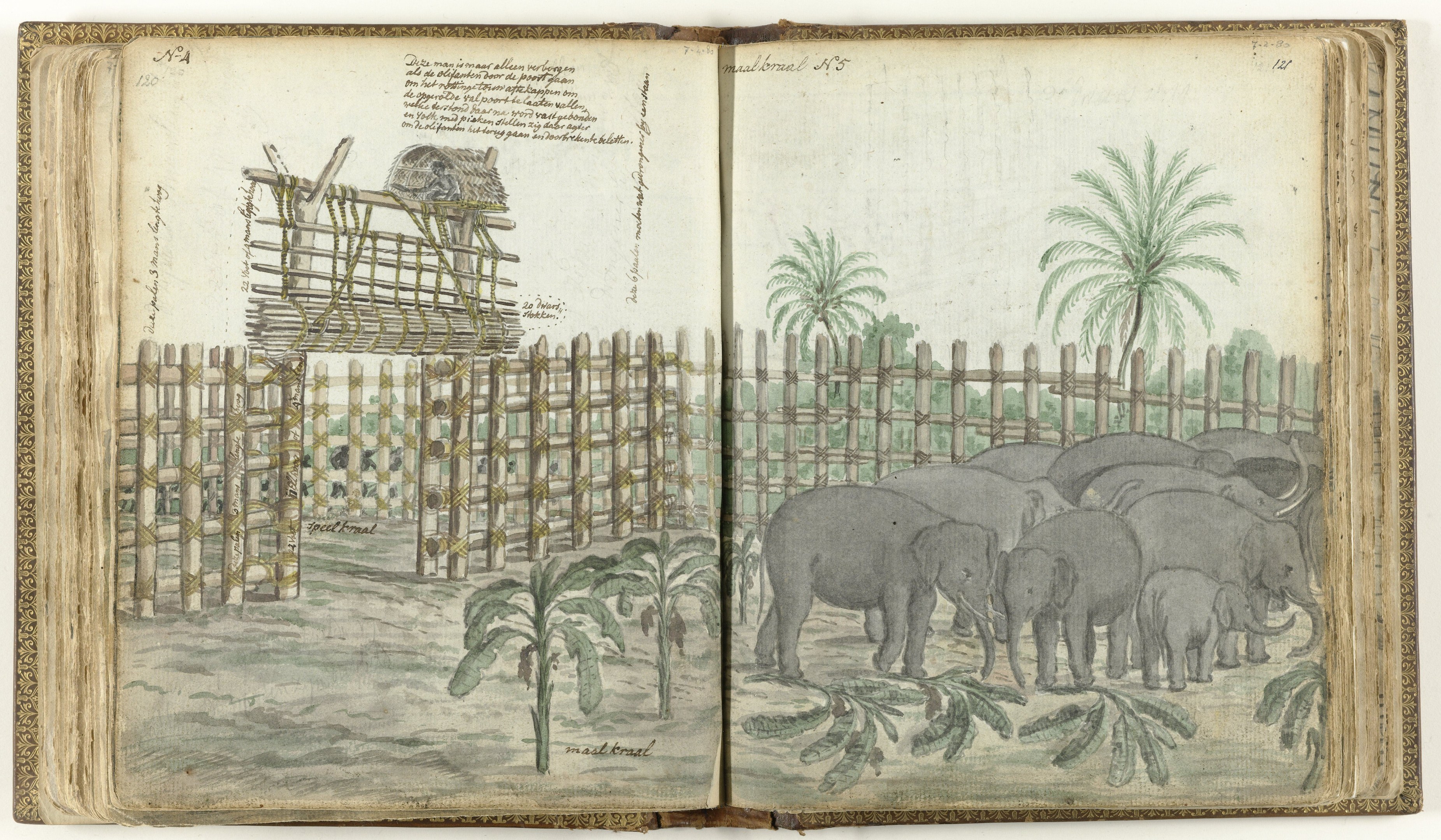 Offenes Buch-Illustration mit einer Gruppe von Elefanten in einer Zoosituation, umgeben von Bäumen, Pflanzen und einem Zaun, mit sichtbarem Text auf den Seiten.