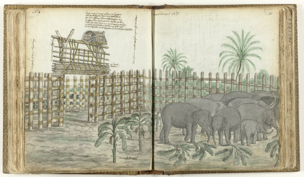 Offenes Buch-Illustration mit einer Gruppe von Elefanten in einer Zoosituation, umgeben von Bäumen, Pflanzen und einem Zaun, mit sichtbarem Text auf den Seiten.