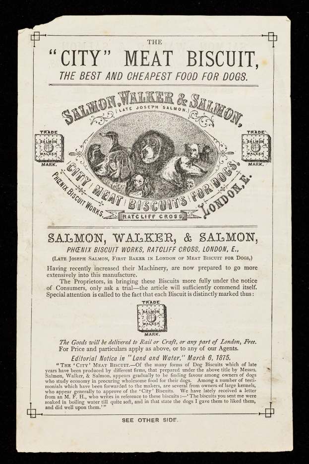 Schwarze und weiße Werbung auf altem Papier für ein Stadtfleischbiscuit, mit Text und Bildern, die das Produkt beschreiben.