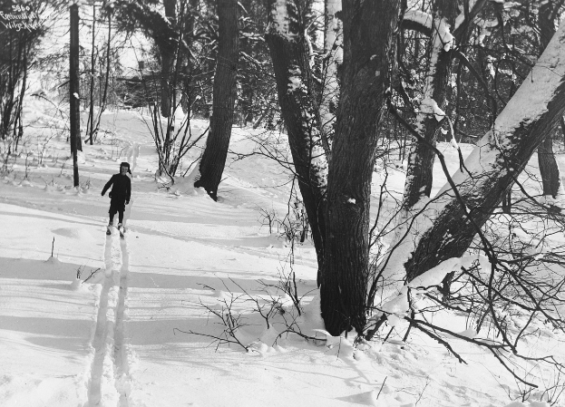 Eine Person Langlaufski fahrend auf einem verschneiten Waldweg, umgeben von schneebedeckten Bäumen, dargestellt in Schwarz-Weiß.