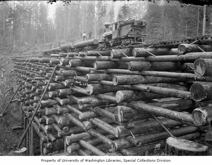 Schwarzes und weißes Foto eines Holzfäller-Lkw, der neben einem Holzstapel in einem bewaldeten Gebiet geparkt ist, mit mehreren Menschen auf den Holzstämmen und Bäumen im Hintergrund.