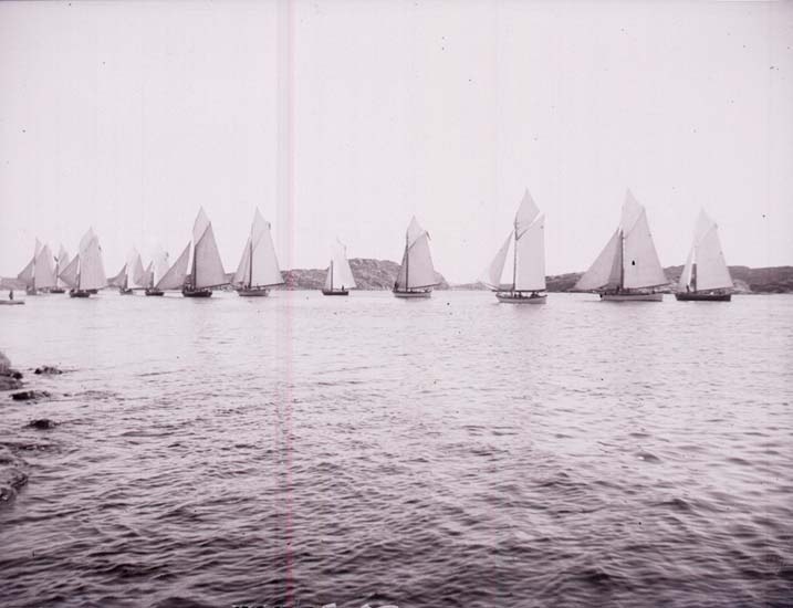 Schwarzes und weißes Foto mehrerer Segelboote auf dem Wasser mit Hügeln im Hintergrund und klarem Himmel, als Foto des New York Yacht Clubs bezeichnet.