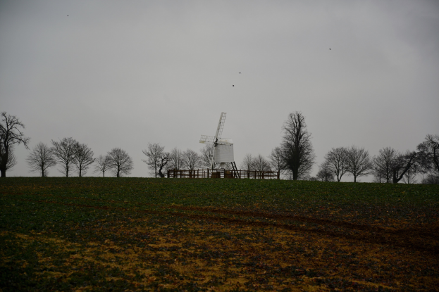 Windmühle in einem eingezäunten Feld mit Bäumen und bewölktem Himmel, Vögel fliegen darüber.