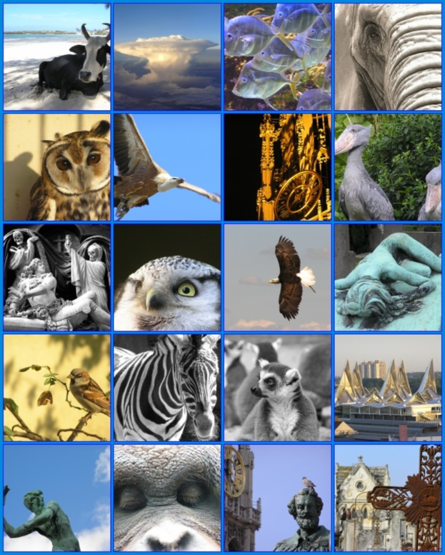 Ein Collage mit verschiedenen Tieren wie Kühen, Zebras und Eulen sowie mehreren Skulpturen.