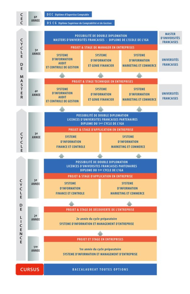 Diagramm, das die organisatorische Struktur eines Unternehmens und die Phasen des Geschäftsprozesses mit verbundenen Kästchen und beschreibendem Text darstellt.