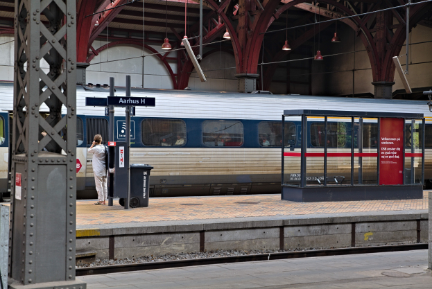 Ein Zug fährt auf einem Bahnsteig ein mit einer Person in der Nähe, einem Müllcontainer, Pfosten, Informationsanzeigen und Deckenleuchten.