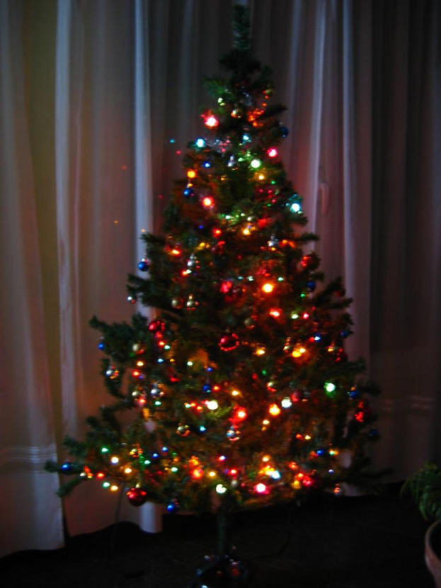 Ein Weihnachtsbaum mit Lichtern steht vor einem Vorhang und einem Topf mit einer Pflanze.