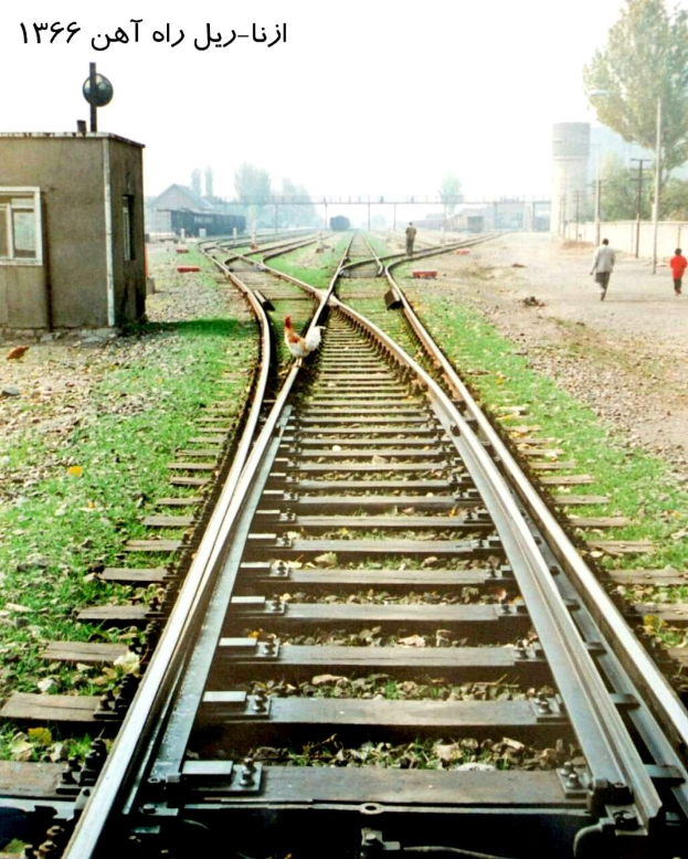 Ein Vogel sitzt auf einem Bahngleis umgeben von Gras und Steinen, mit Menschen in der Nähe, Bäumen, Polen, Gebäuden und dem Himmel im Hintergrund und Text oben.