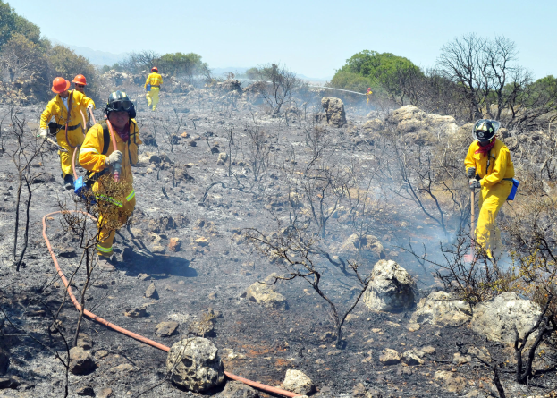 Eine Gruppe von Feuerwehrleuten in gelben Uniformen und Helmen durchquert eine verbrannte Fläche mit Bäumen, Felsen und einem Rohr im Vordergrund und einem klaren Himmel im Hintergrund.