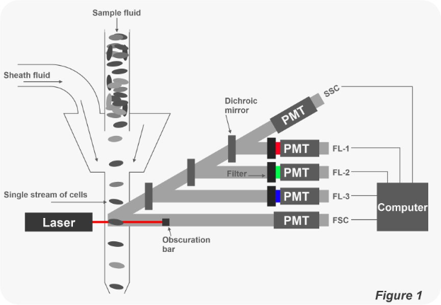 Diagramm, das ein Schema eines Einzell-Zellsystems mit einem Laser und einem Computer zeigt, das mit Komponentenbeschriftungen versehen ist.