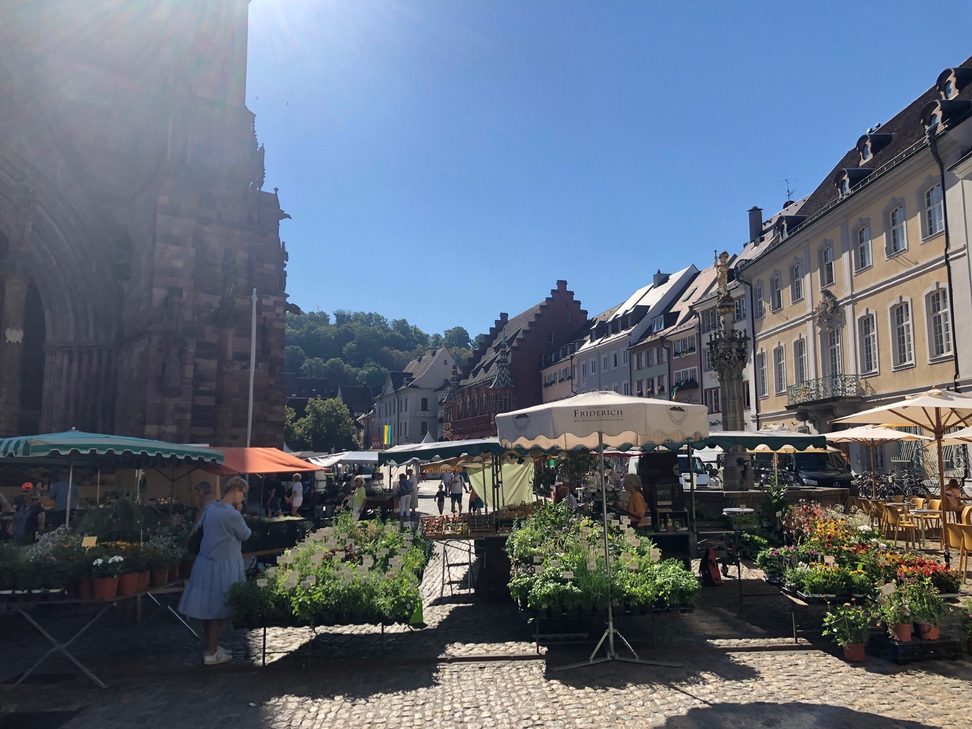Ein belebter Markt im historischen Stadtkern von Heidelberg, Deutschland, mit Menschen, die um Tische mit Blumentöpfen und Schirmen herum sitzen und stehen, vor einem Hintergrund aus Gebäuden, Bäumen und einem klaren blauen Himmel.