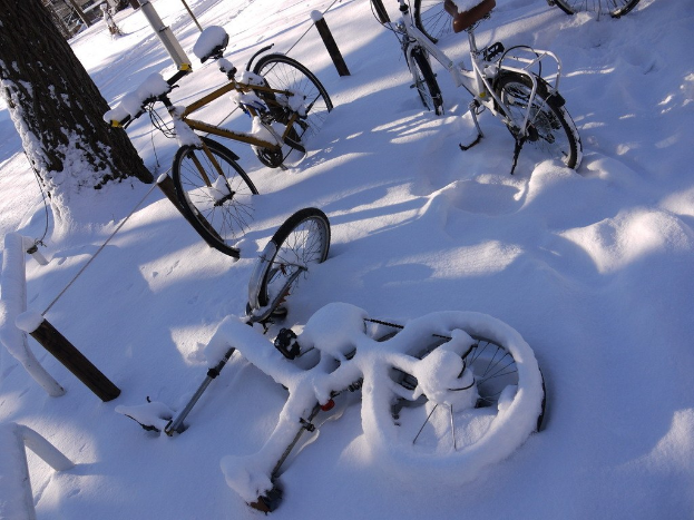 Eine Reihe von Fahrrädern, die teilweise von Schnee bedeckt sind, neben einem Baumstamm und der Straße.
