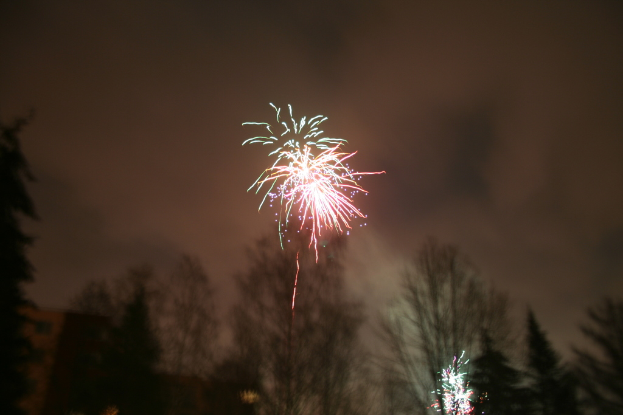 Bäume liegen auf dem Boden mit Feuerwerk und Wolken im Hintergrund.