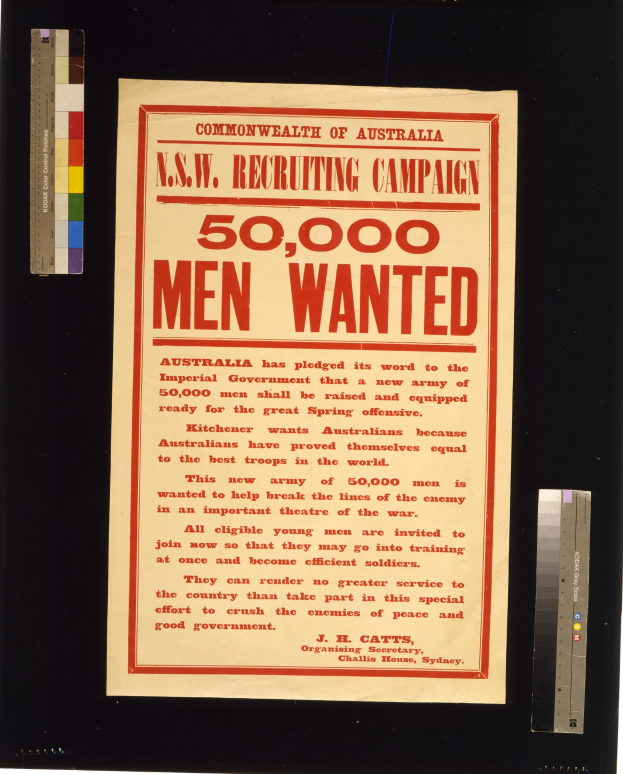 Ein Plakat mit fetter, schwarzer Schrift, die 'N.S.W. Recruiting Campaign 50,000 Men Wanted' lautet, auf einem weißen Hintergrund, der in Schwarz eingerahmt ist.
