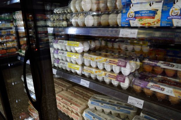 Ein Kühlregal in einem Supermarkt, das mit verschiedenen Eiern bestückt ist, die ordentlich in Regalen angeordnet sind, jedes mit einem Preisetikett versehen, vor einem leicht unscharfen Hintergrund.