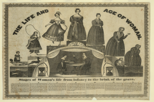 Ein farbenfrohes illustriertes Zeitachsen-Diagramm, das die Phasen des Lebens von Frauen von der Geburt bis ins hohe Alter darstellt, mit fetter Schrift und detaillierten Elementen.