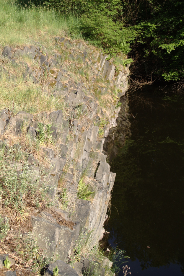 Ein kleiner, klarer Bach fließt durch eine grüne Uferzone, die von Bäumen gesäumt ist. Das Wasser ist ruhig und klar und spiegelt die umliegenden Blätter wider.
