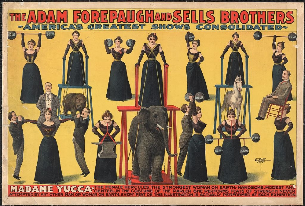 Plakat für "Adam Forepaugh und Sells Brothers, Americas Greatest Shows Consolidated" mit Performern auf Hockern und einem Elefanten in der Mitte und Text.