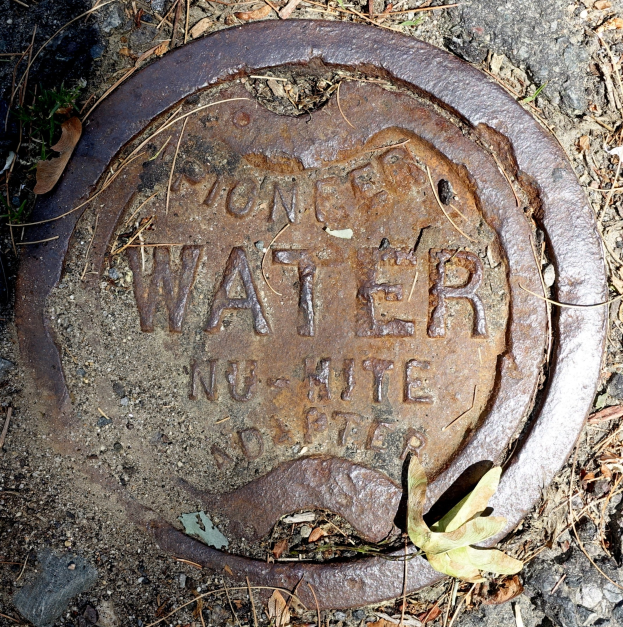 Ein Metall-Schachtobjekt mit der Aufschrift "Wasser" in Gras und trockenen Blättern eingebettet.
