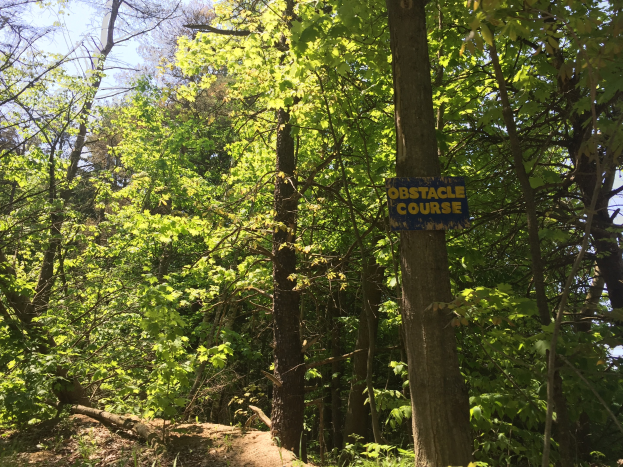 Ein Schotterweg in einem bewaldeten Gebiet mit einem hölzernen Schild, auf dem "Hindernislauf" steht, und Bäumen, die den Weg säumen, mit einem sichtbaren Himmel im Hintergrund.